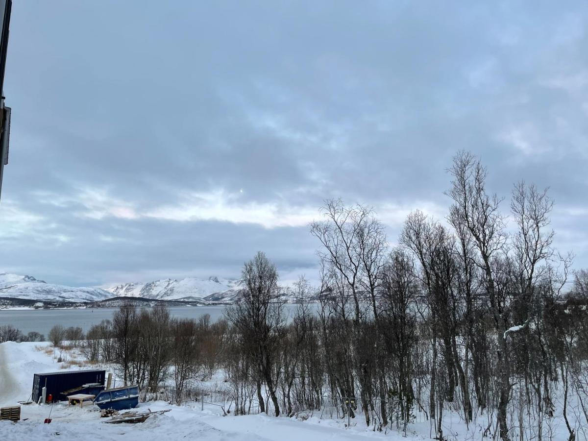 New Modern Apartment - Tromso West エクステリア 写真